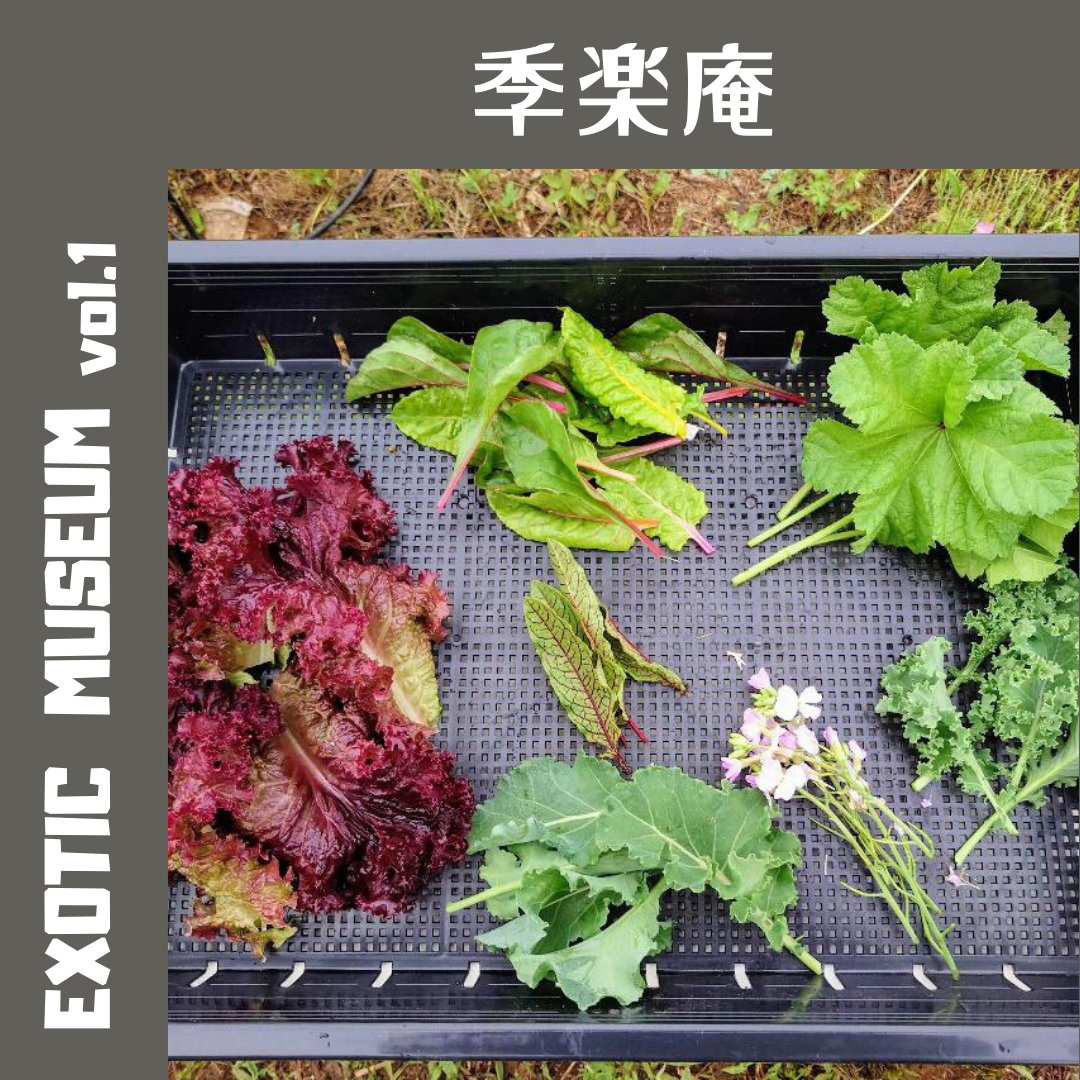 季楽庵｜EXOTIC MUSEUM VOL.1