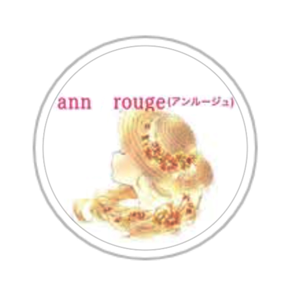 ann-logo